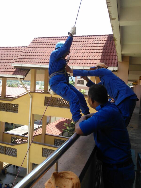 APM Jeli tweet media