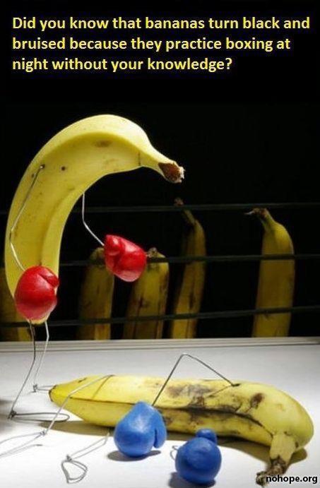 bukkakesplash's tweet photo. http://t.co/ZRz6c4xV0A