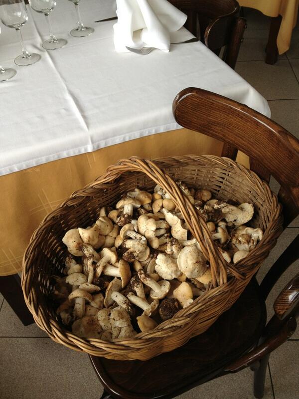 caltrave's tweet photo. Ja els tenim aquí !! #bolets #gastronomia #berga http://t.co/cT1fIcEegJ