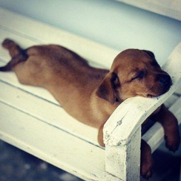 NaturPictures's tweet photo. Sábado por la mañana... http://t.co/cbOazb2ZQ5
