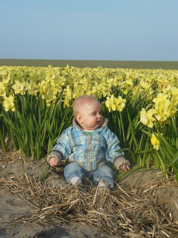 nieuwduinoord's tweet photo. Wat staan de narcissen er weer mooi bij!! #nieuwduinoord.nl http://t.co/Y8MVHUapUv