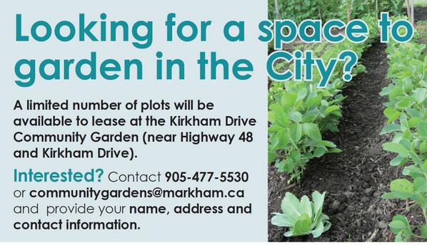 Looking for a space to garden in the City?  Contact communitygardens@markham.ca to find out how to lease a plot.