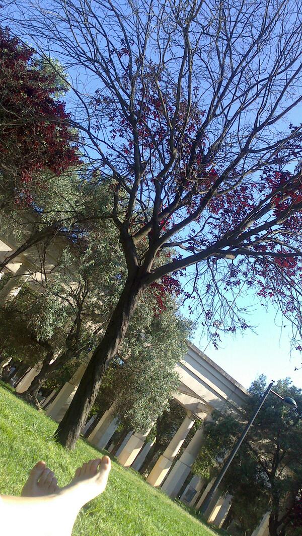 g_cristii's tweet photo. De relax con @asunsun2 http://t.co/HluTWpUDM5