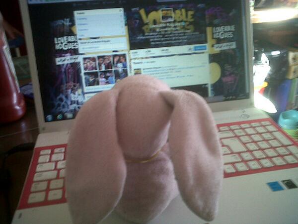 Bunbun_LR's tweet image. Casually scrolling through twitter #rabbitstyle :3