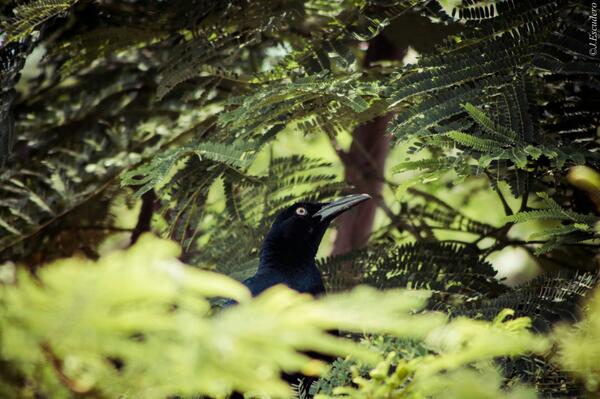 iamjuanescudero's tweet image. Y donde se fueron todos?  #canon #rebelt3 #eossystem #fotografía