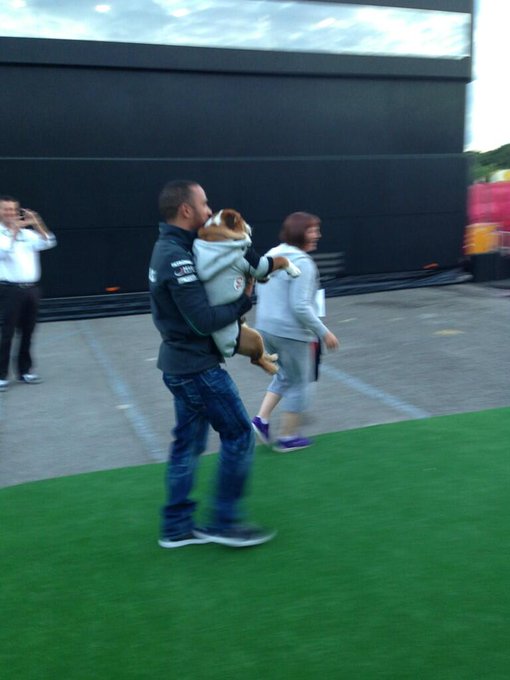 BJ2FFJgCQAAnofc.jpg:small