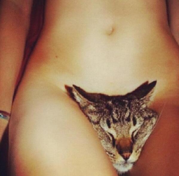 JustUnstableMe's tweet photo. Pic slip. Pussy shot my sis just sent me. She's a sicko. http://t.co/bLLb4kDyKt