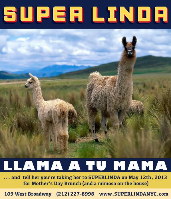 SUPERLINDANYC's tweet photo. We have your mother's mimosa waiting... #nyc #tribeca #mothersday #brunch http://t.co/Wx5yjHeHSC