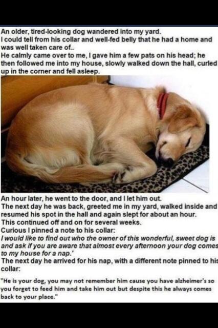 shainedawson's tweet photo. This is the saddest/most adorable  thing :') http://t.co/5GDOciuOCA