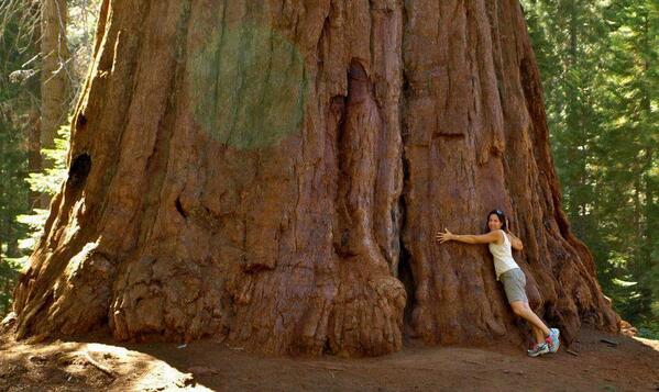 Raybryan51's tweet photo. I need to return, from time to time, to awe... http://t.co/jZTBaDKfcR