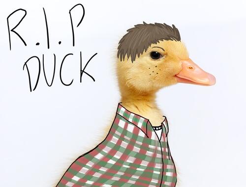 thatkidduck's tweet photo. Well it's a pretty accurate picture http://t.co/4KfMTl98kB