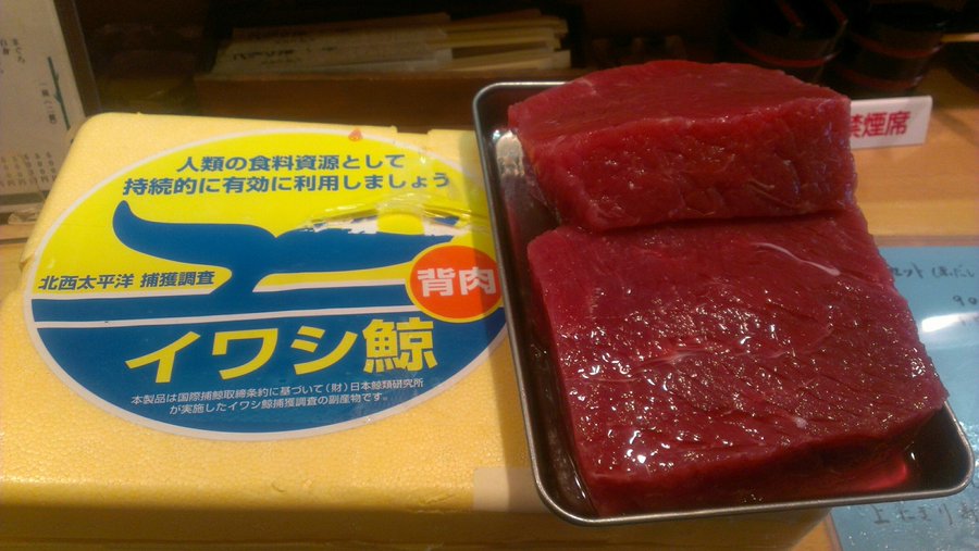 実は凄い イワシクジラの味や栄養価について クジラの生態の謎に迫る