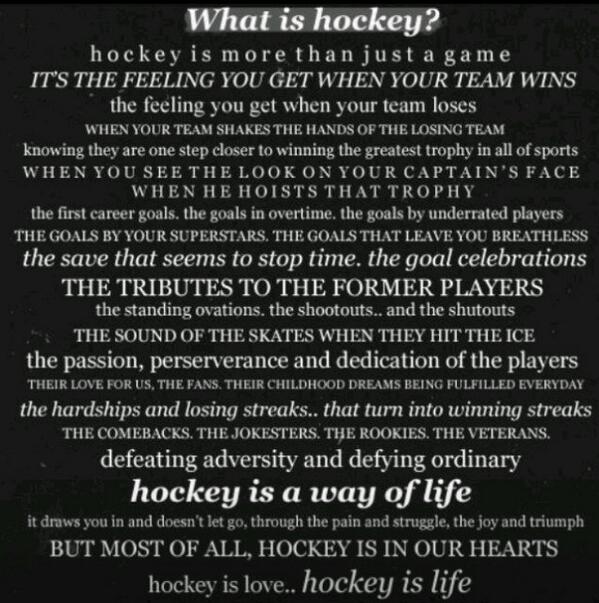 phaneufhockey's tweet image. This pretty much sums up why we love hockey! #greatestgameonearth #passion