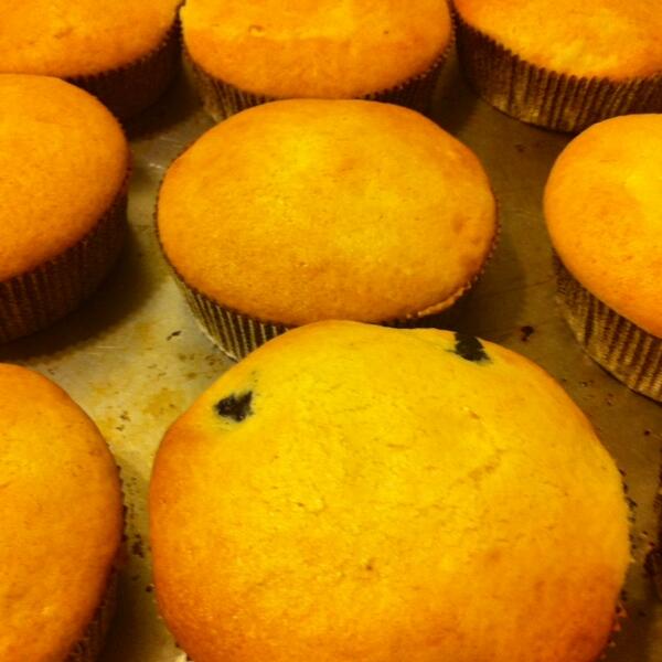 blueberry sour cream cakes ... could be yours at #communitybakesale and bone marrow drive 5/12 JCC Manhattan 11-3