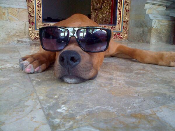 fake clothing bali tweet media