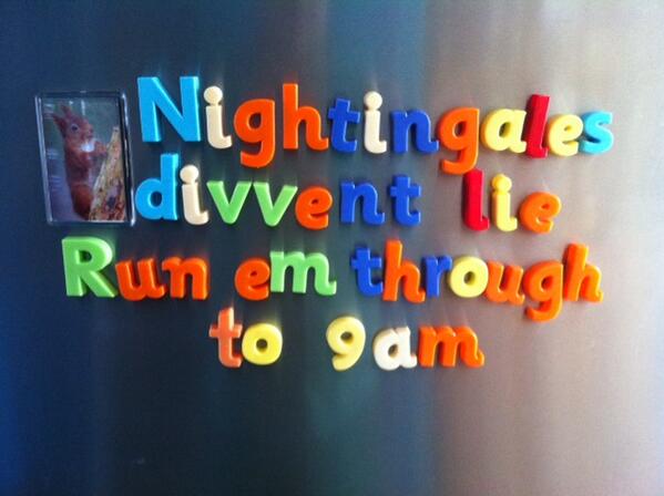 Red Squirrel tweet media