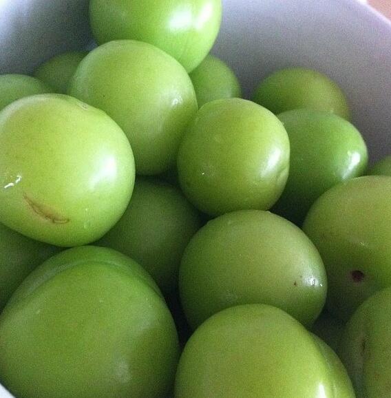 PostBadTurkish's tweet photo. Erik 😍 http://t.co/GBXMze4sLj