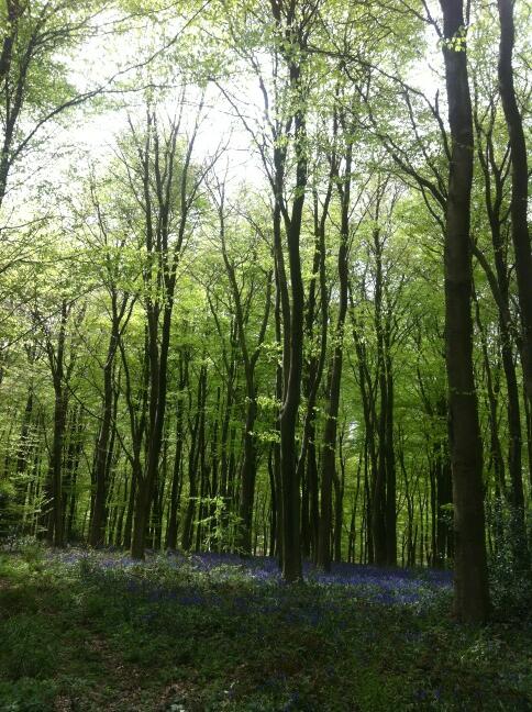 muddypawzuk's tweet photo. Spring is definitely my favourite time of year, what's yours? X http://t.co/KufVDRLttQ