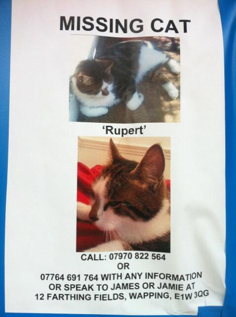EastEndEnquirer's tweet image. Anyone seen Rupert? Details on pic :)