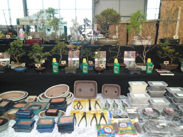 Don't miss the fantastic Bonsai talks with Mark Whitworth in the Main Theatre this weekend at the Norfolk Garden Show
