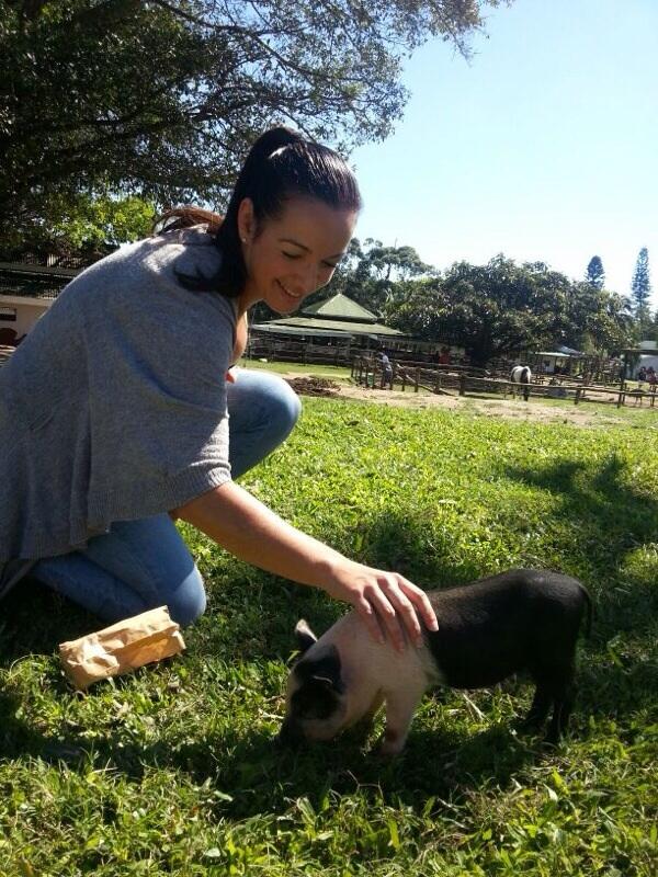 LCosani's tweet photo. Neeeeeed a piggy! http://t.co/WWjeStpFYv
