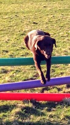 Gracie Williams tweet media