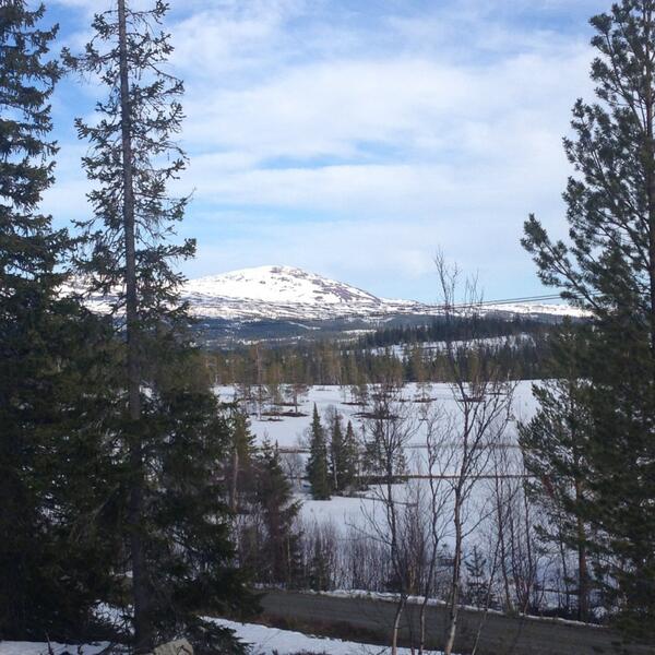 tharalsen's tweet image. Fortsatt mye snø på fjella i #tydal