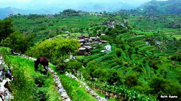 nnbb2222's tweet photo. محمية عتمه محافظة ذمار اليمن رائع جدا (:
A beautiful view of Dhamar in yemen http://t.co/FhlWEJjkKA