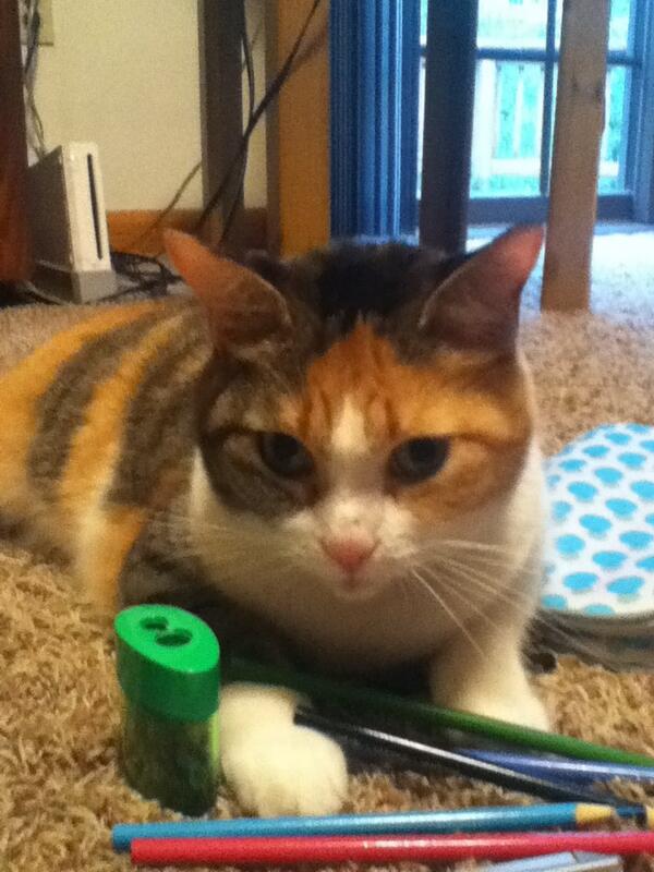 Calithekittycat's tweet image. Helping my person color.