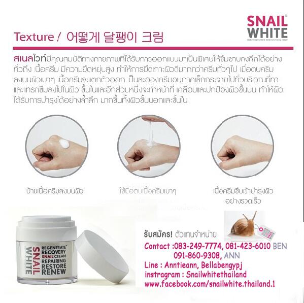 SnailwhiteThailand tweet media