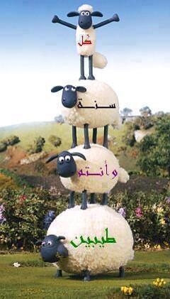 om68147356's tweet photo. http://t.co/HFR6MugnQn
