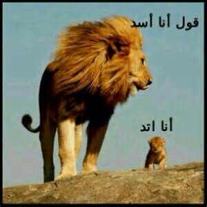 om68147356's tweet photo. http://t.co/SDy0BO8Mit