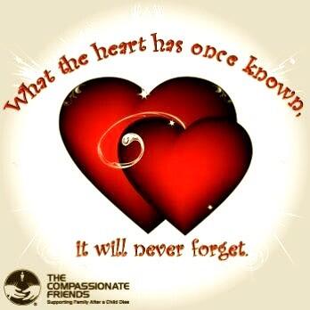 Rann Patterson tweet media