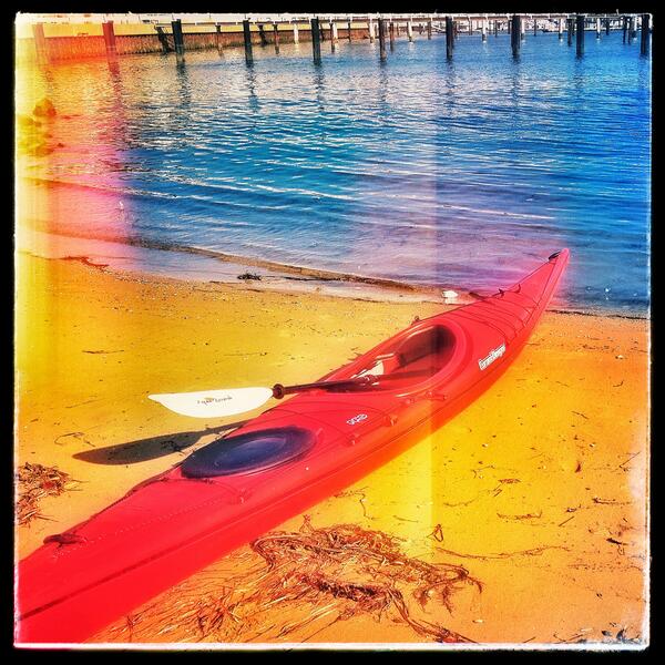photo444's tweet photo. Hildr, happy &amp; wet after post work kayaking in Corona del Mar. Been awhile since I chance to take her out. http://t.co/sHDoDxLFBU