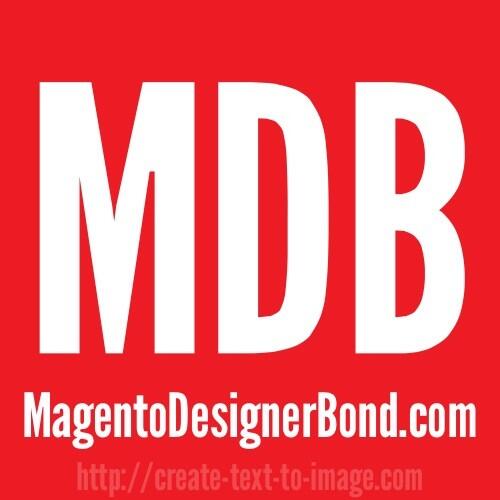 Magento Developers