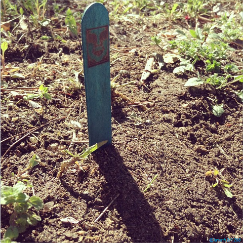 [Instagram Update] Yongguk @/realb2ng : Thoát khỏi nhịp sống hối hả và chen lấn của thành phố #guerrillaplants