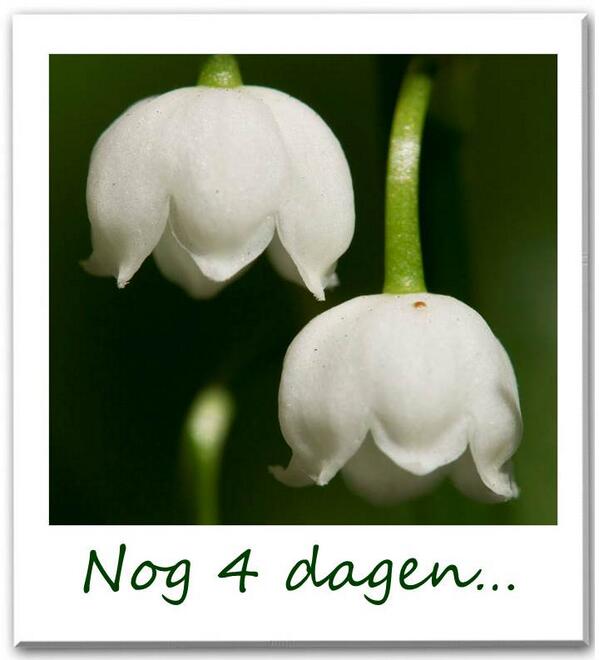 Nog 4 dagen....