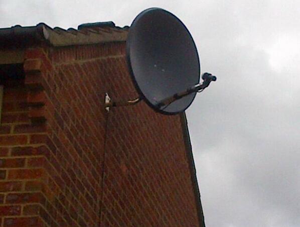 Chris Christophi tweet media