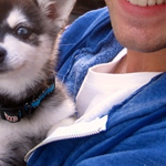 DiRusher's tweet photo. http://t.co/ARLxV1evb2