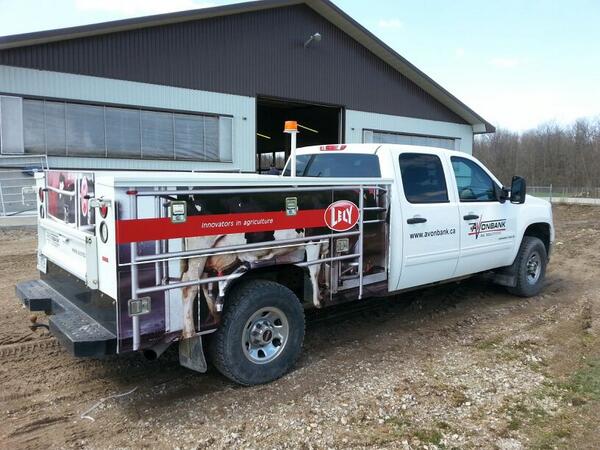 Avonbank_Ag's tweet image. Service trucks received new decals too! Looks great having a #dairyrobot on the side of the truck #livelifelely