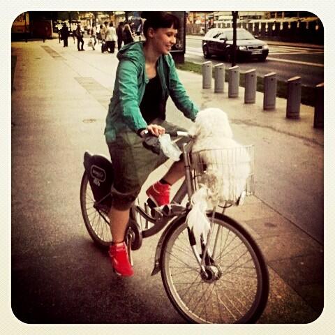 Public #bikeride #dogsrule <a href="/JEveronika/">Veronika Je Nej</a> <a href="/HrgotaSanja/">Sanja Hrgota</a>