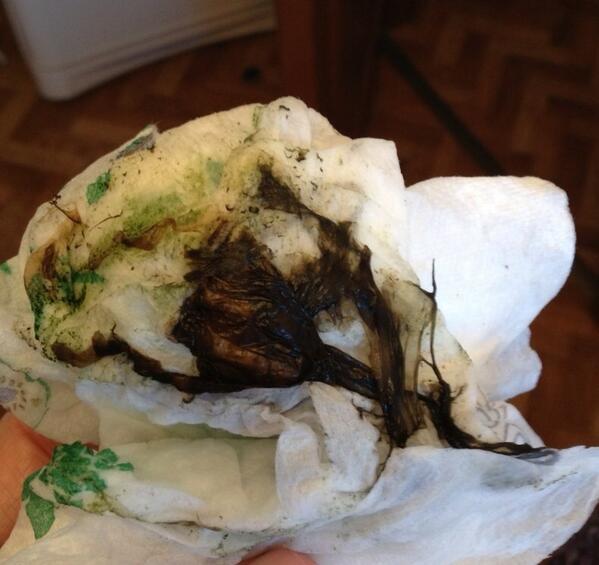 Hope4everyheart's tweet image. And I thought my water dispenser was putting out clean water gross😱#cleanfilter