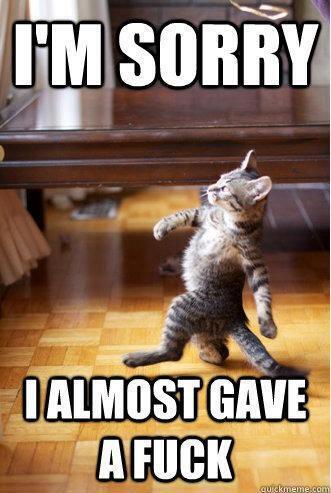 fookthat_3's tweet photo. #catswag http://t.co/xGZ2FnVMXy