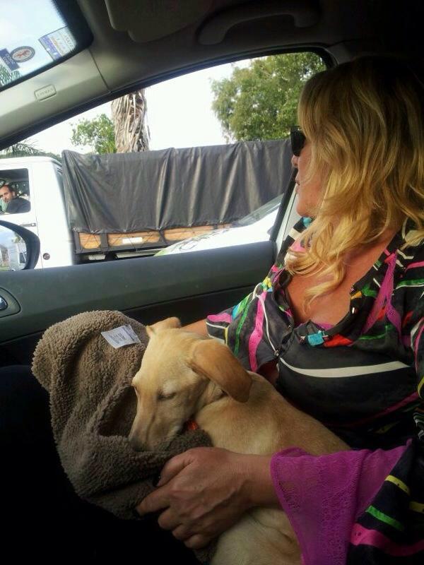 Juana Repetto (@juanarepetto) on Twitter photo “<a href="/AnimalistasenA/">Animalistas EnAccion</a>: Hoy se concreto otra adopcion GRACIAS REINA #ADOPTA ” Segui Animalistas y concretemos más adopciones “<a href="/AnimalistasenA/">Animalistas EnAccion</a>: Hoy se concreto otra adopcion GRACIAS REINA #ADOPTA ” Segui Animalistas y concretemos más adopciones