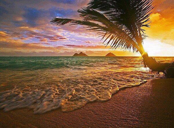 Paisajes_Es's tweet photo. Salida del Sol en Lanikai, Hawaii. http://t.co/pbSDDtTVwL