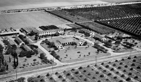 JavelinaForLife's tweet photo. #JavelinaHistory: This is thought to be the Citrus Center in Weslaco, TX. Can anyone confirm &amp; give an approx. date? http://t.co/n3R5CwtUzZ