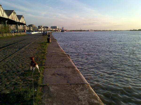 NoaNeal's tweet photo. Geniet vd laatste weken #rust voor de#sinksenfoor #eveningwalk #FavouriteWasteOfTime #NieuweLocatieFoor #scheldekaai http://t.co/Ezb2evmbQk