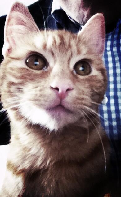 Had to share this pic of my housemate!