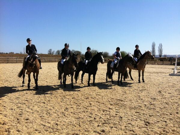 FindAPony's tweet image. Look out for #findapony at unaffiliated+affiliated jumping+dressage competitions this season!Heres a few of the team