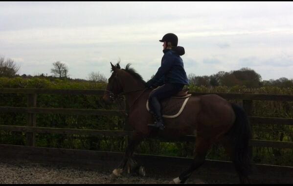 FindAPony's tweet image. Another one of our team.An adult this time! Out of riding school lessons and now ready to compete on her horse Harry!